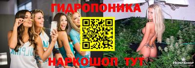 стафф Краснодар