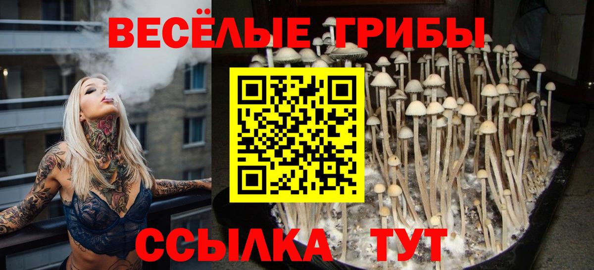 Псилоцибиновые грибы Magic Shrooms  Галлюциногенные грибы Magic Shrooms  Ипатово  Вход с VPN 